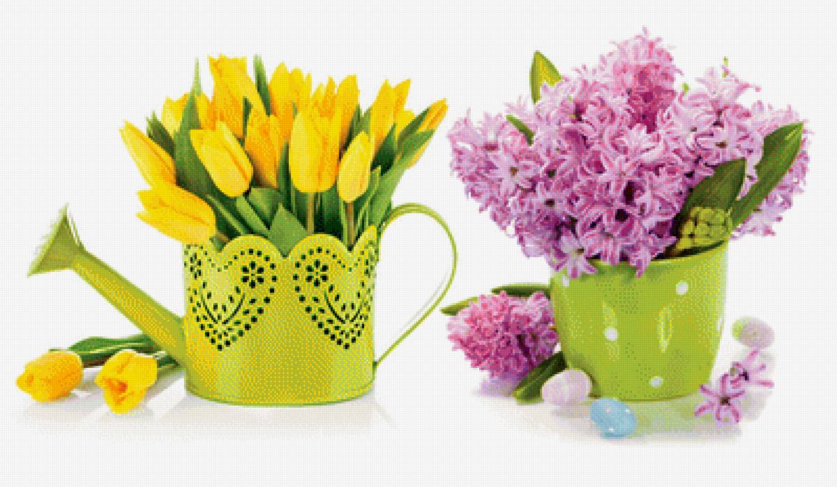 Тюльпаны и гиацинты - предпросмотр