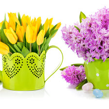 Тюльпаны и гиацинты