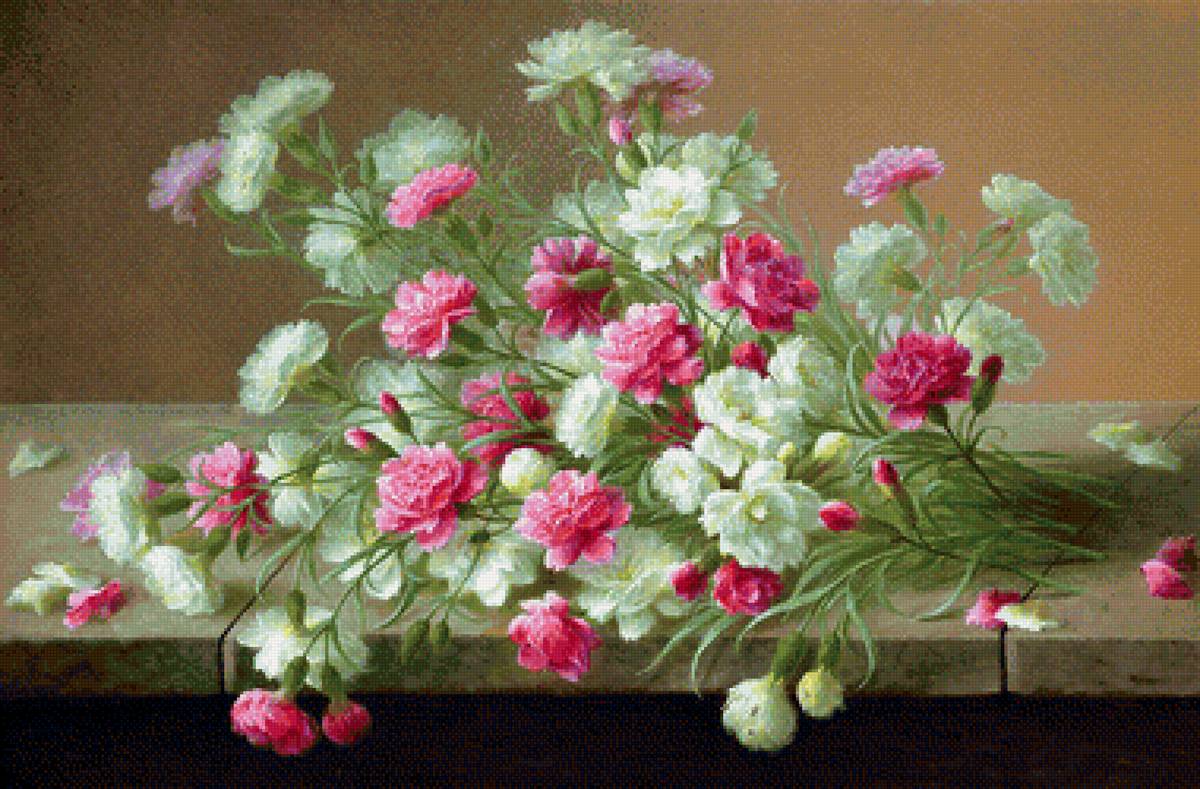 Гвоздики - цветы, гвоздики - предпросмотр