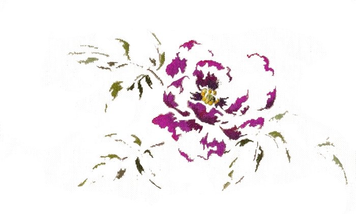 Пионы - мтса, цветы, пионы - оригинал