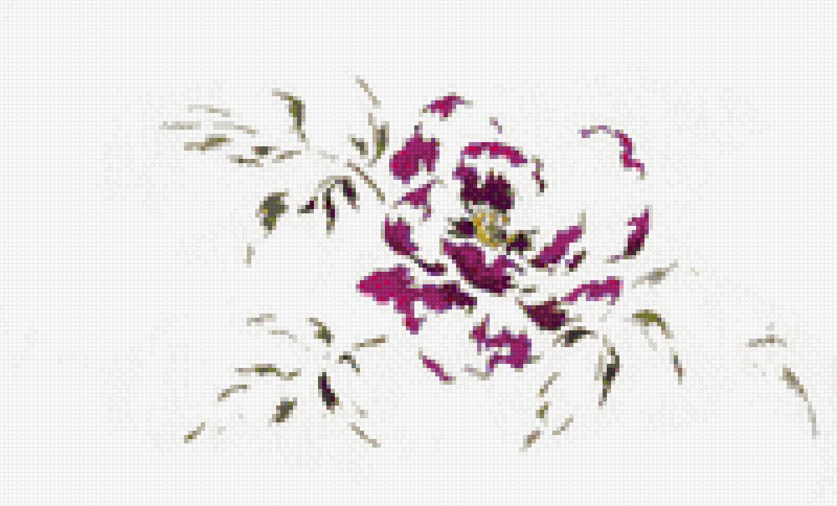 Пионы - цветы, пионы, мтса - предпросмотр