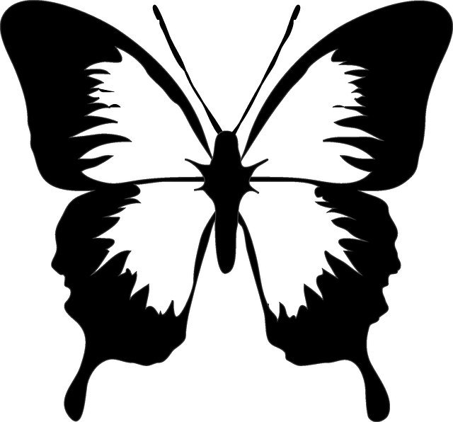 бабочка - монохром, бабочка - оригинал