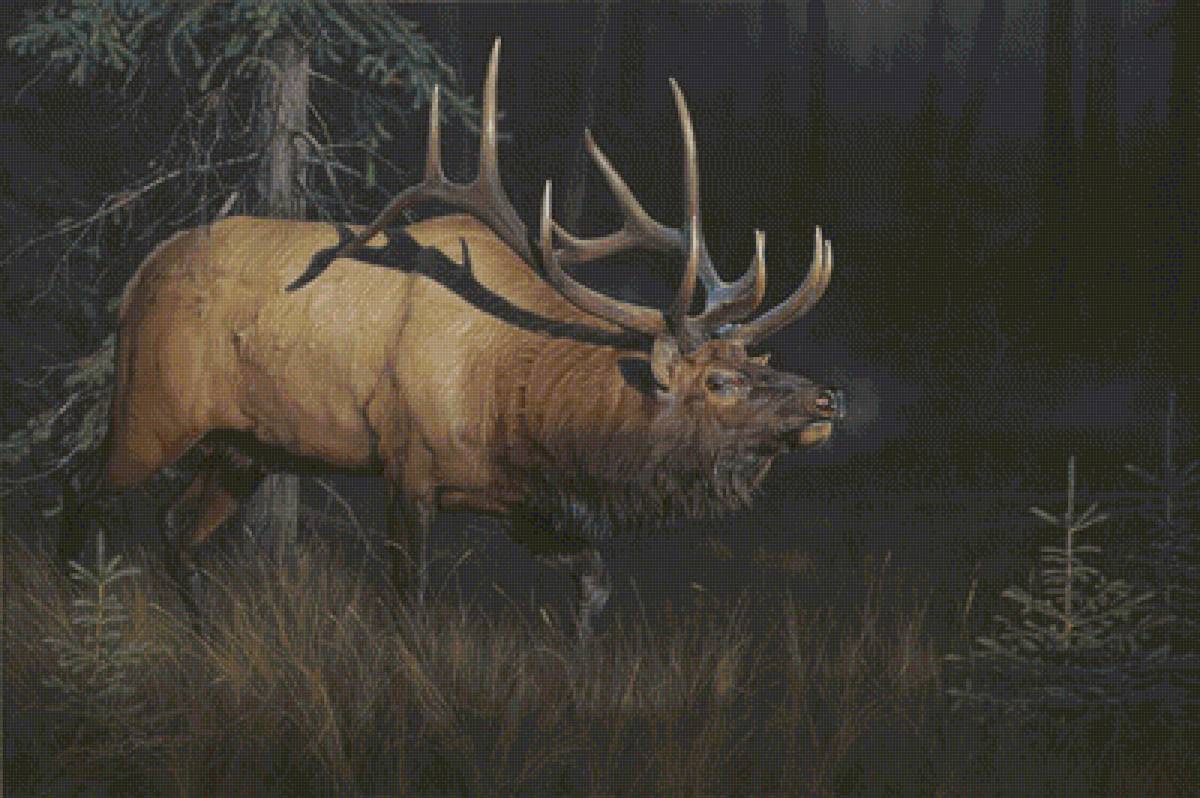 №1382597 - предпросмотр