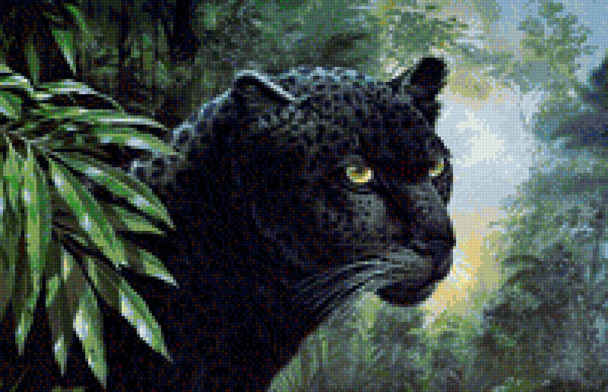 Пантера - кошка, пантера - предпросмотр