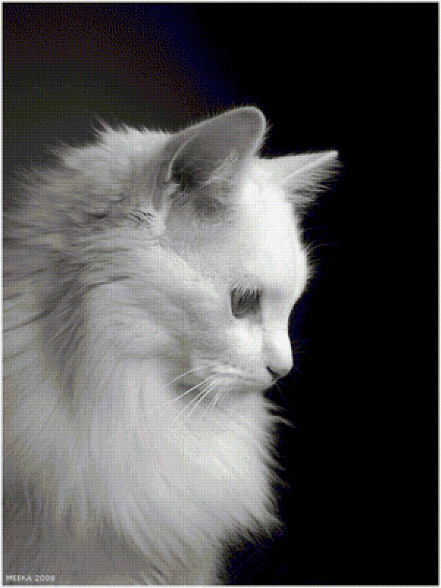 №1383186 - предпросмотр