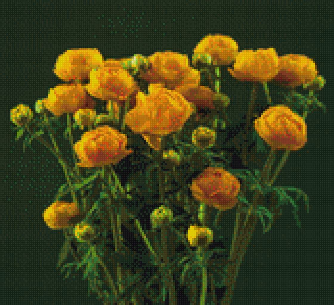 купальницы - цветы - предпросмотр