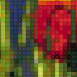 Предпросмотр схемы вышивки «разноцветные маки» (№1383356)