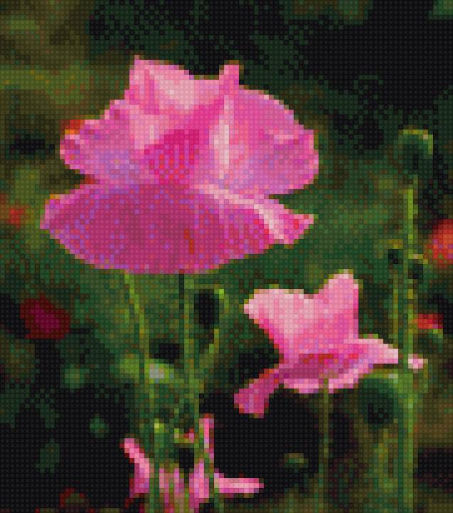 мак - предпросмотр