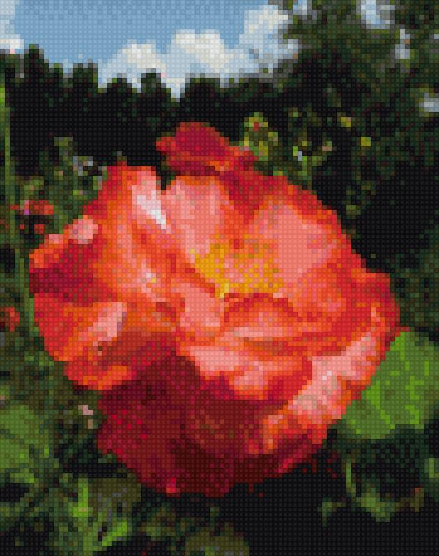 мак - предпросмотр