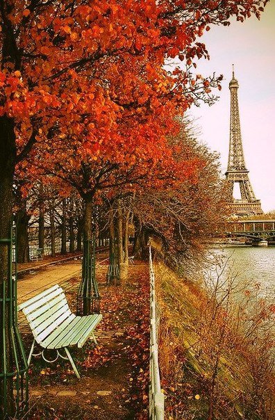 осень в Париже - город, городской пейзаж, париж - оригинал