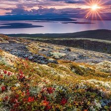 Схема вышивки «№1383896»