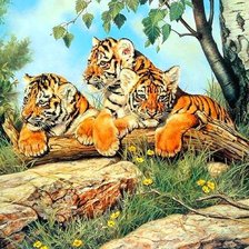 Схема вышивки «тигрята»