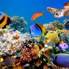 Схема вышивки «Подводный мир»