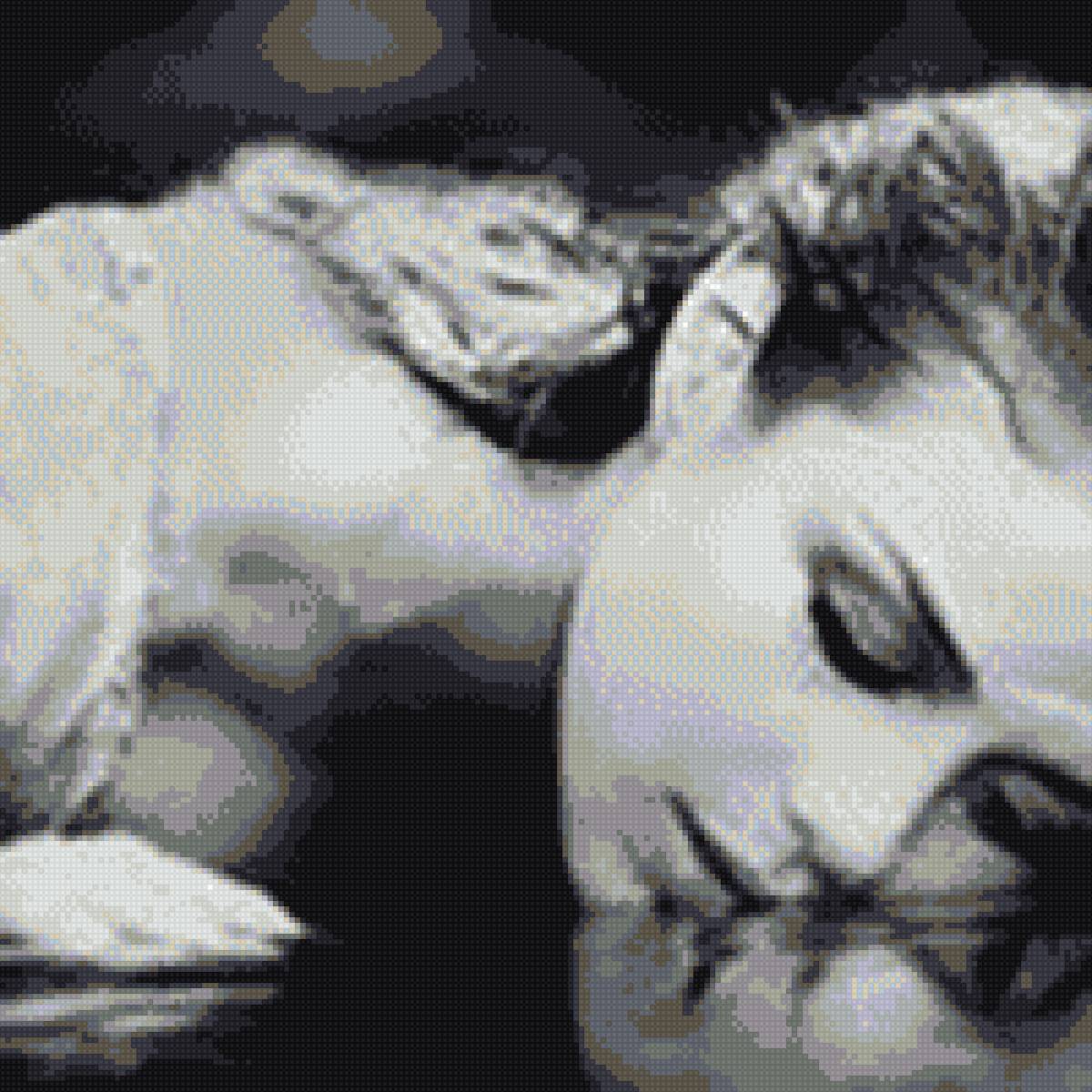 тина кароль - предпросмотр