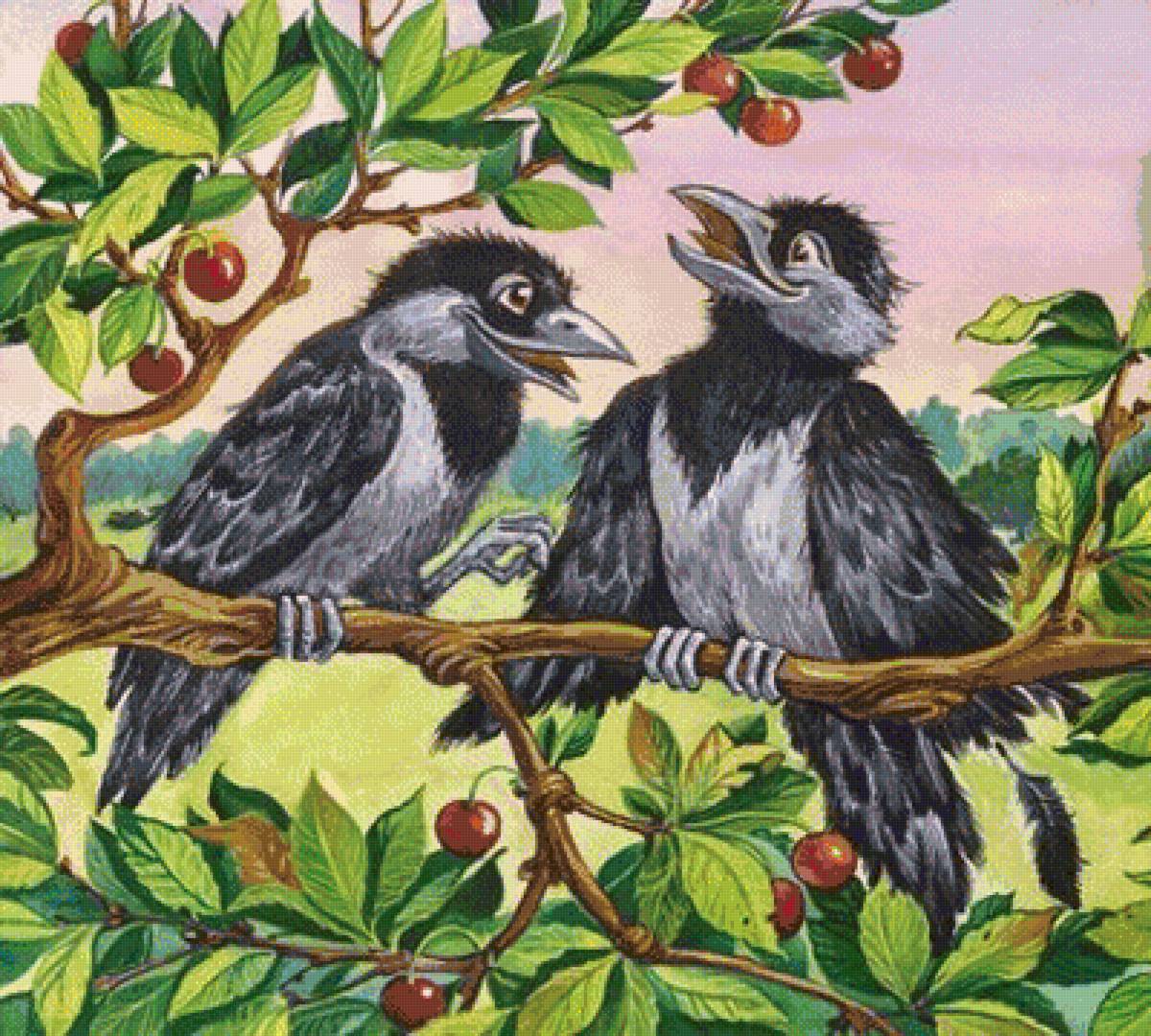 птички - предпросмотр