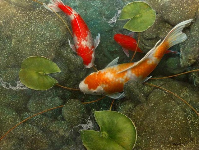 Карпы - карпы - оригинал