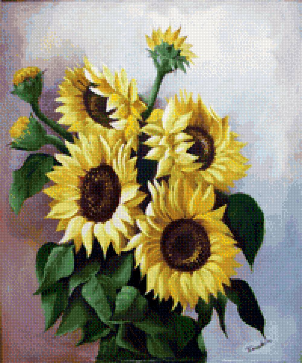 Подсолнух - цветы - предпросмотр