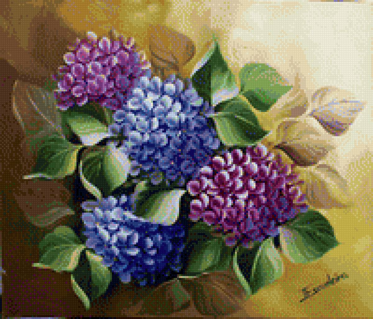 Гортензия - цветы - предпросмотр