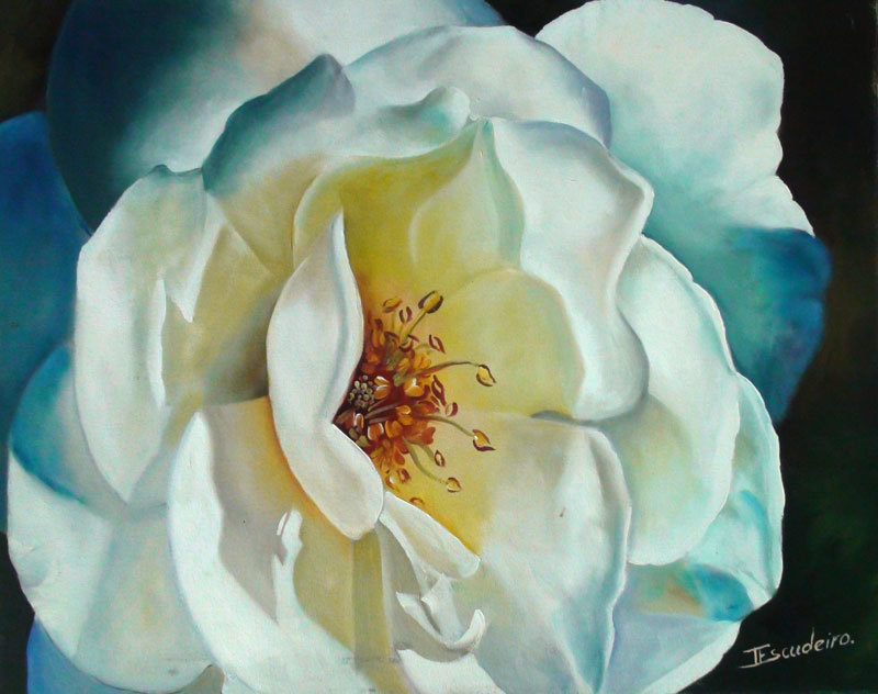 Шиповник - цветы - оригинал