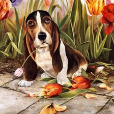 Схема вышивки «такса с цветами»