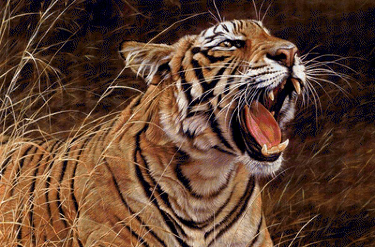 животные - тигры, животные - предпросмотр