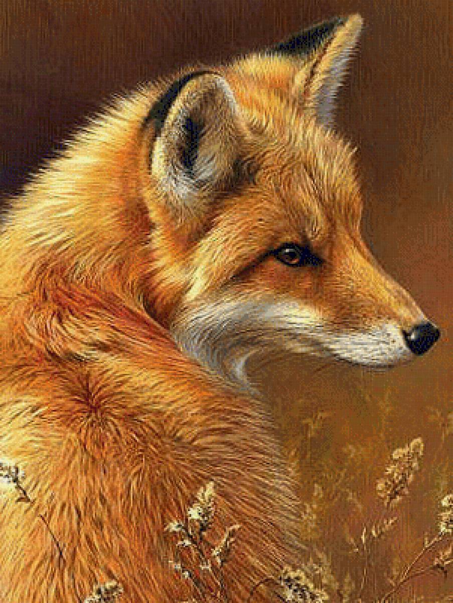 животные - предпросмотр