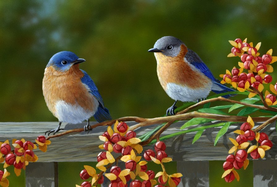 Птицы - природа, птицы - оригинал