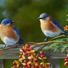 Схема вышивки «Птицы»