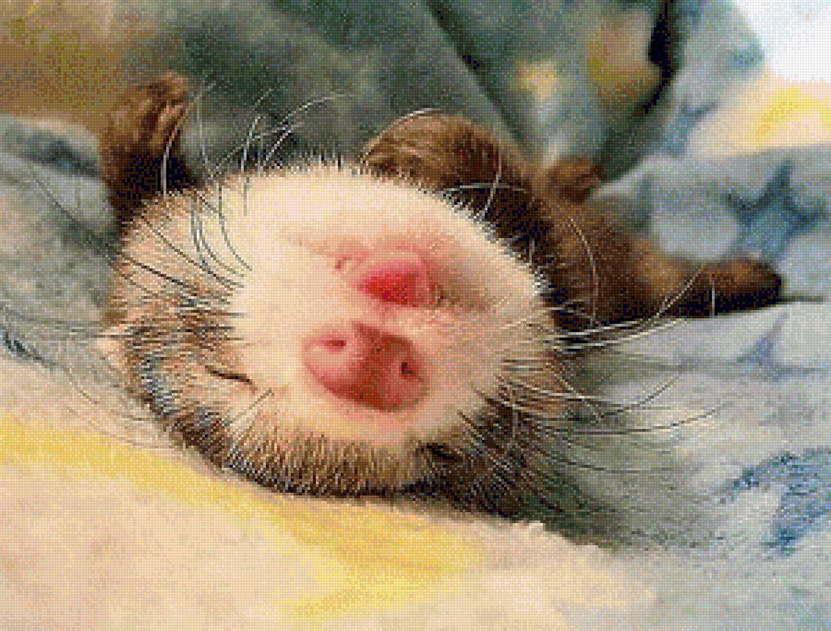 №1386743 - предпросмотр