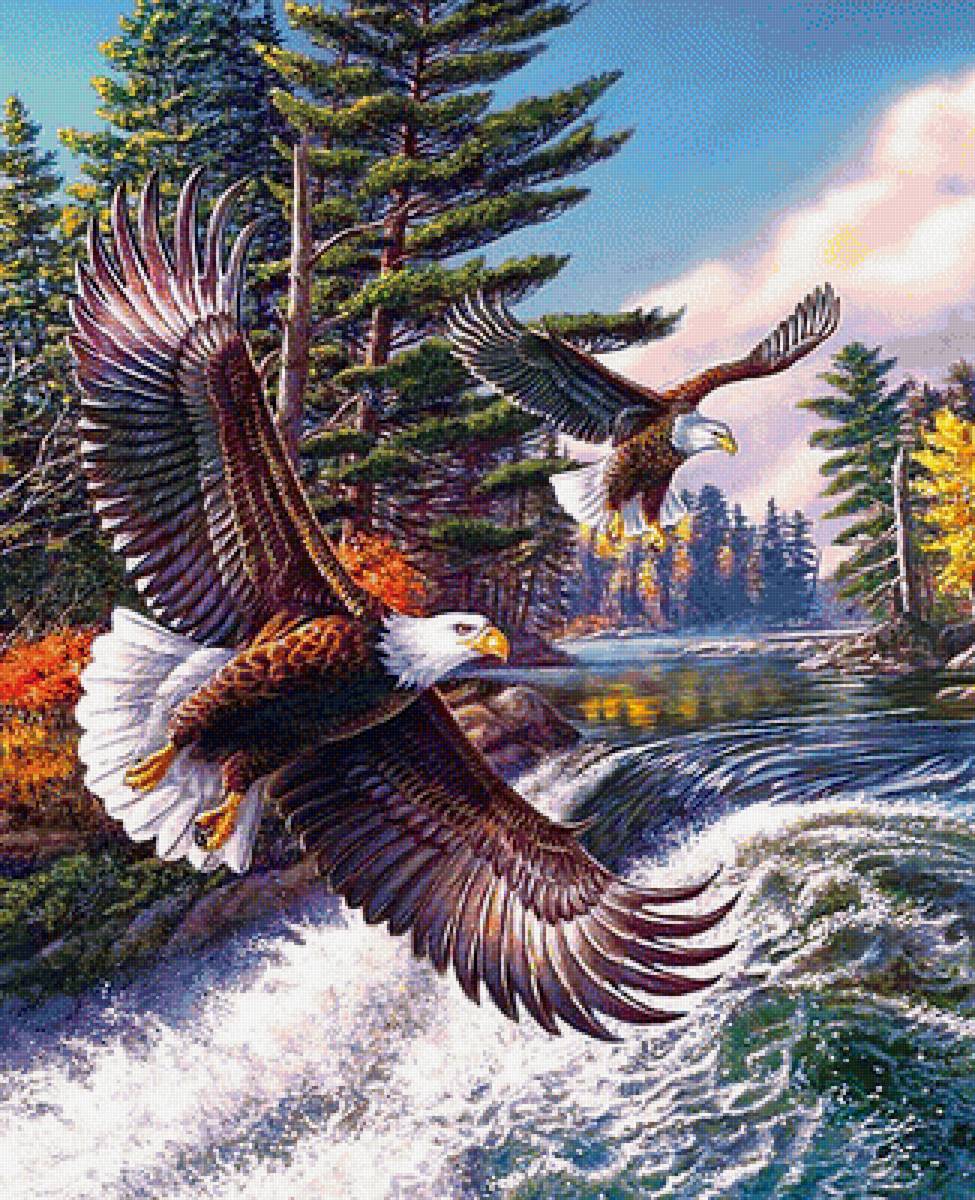 полёт над водой - картина, природа, пейзаж - предпросмотр