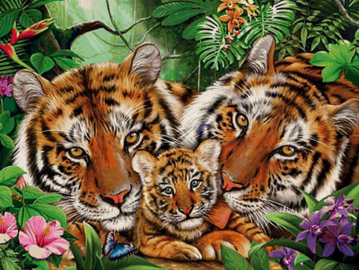 папа,мама,я - дружная семья - тигренок, хищники, тигры, тигрица, тигр - предпросмотр