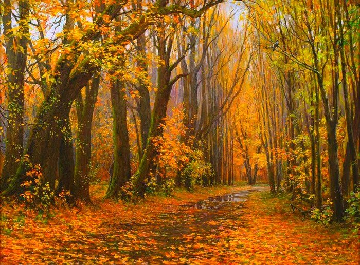 осенний лес - пейзаж, природа, осень - оригинал