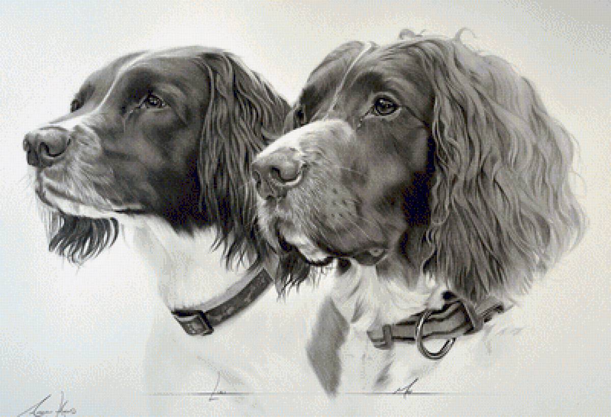 №1388750 - предпросмотр