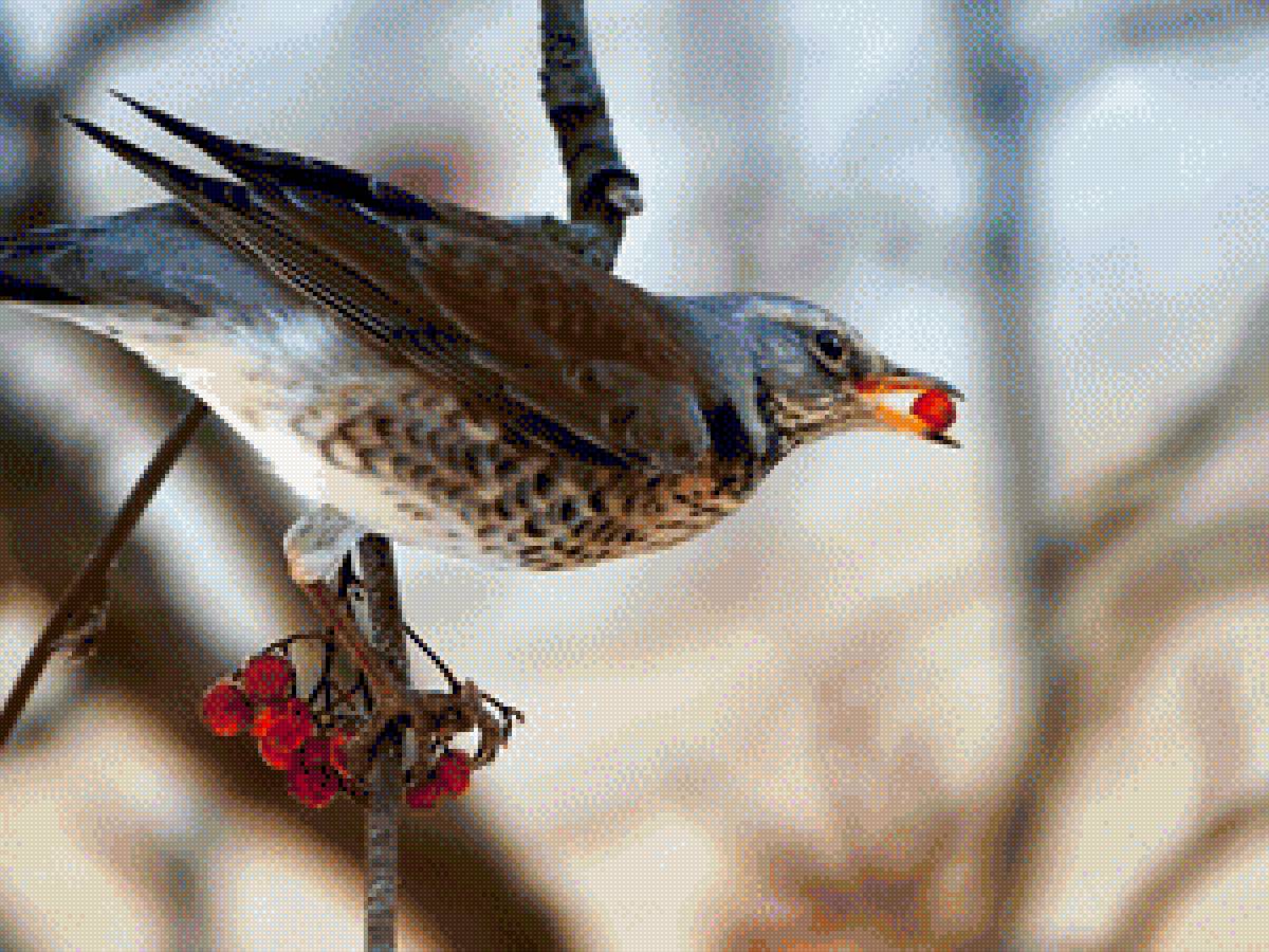 №1389876 - предпросмотр