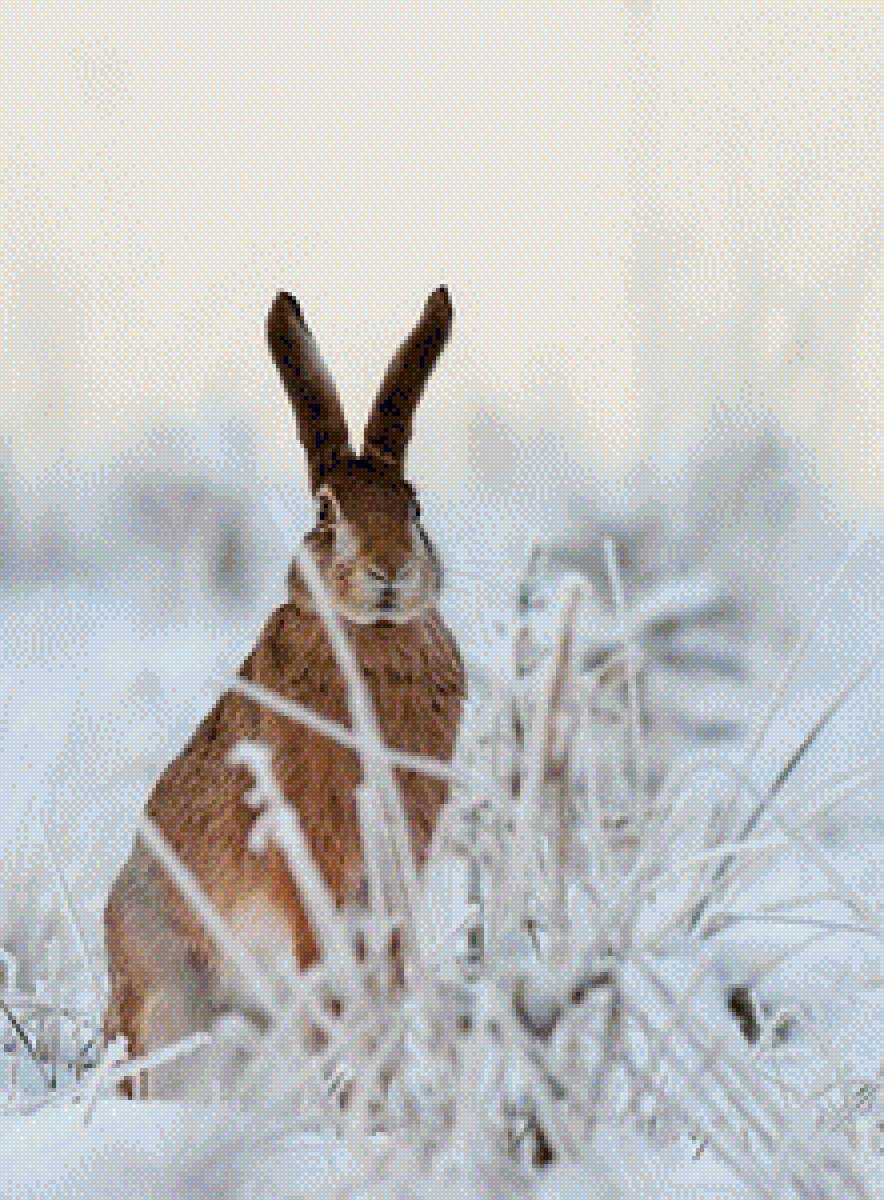 №1389891 - предпросмотр