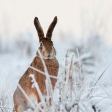 Схема вышивки «№1389891»