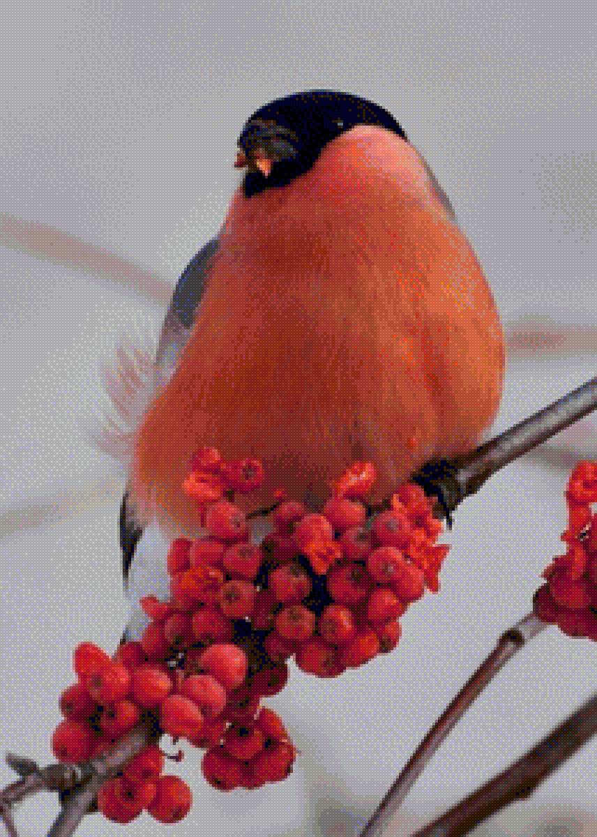 №1389892 - предпросмотр