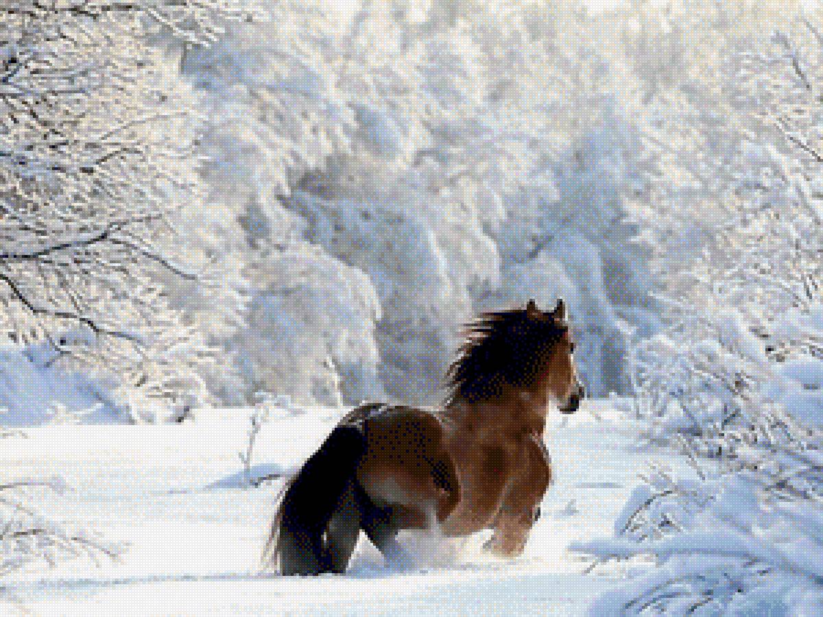 №1389893 - предпросмотр