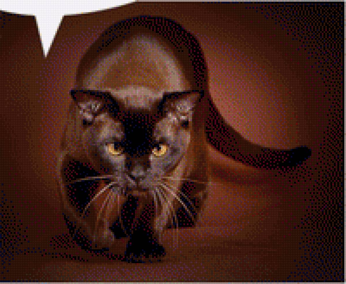 Кошка - животные - предпросмотр