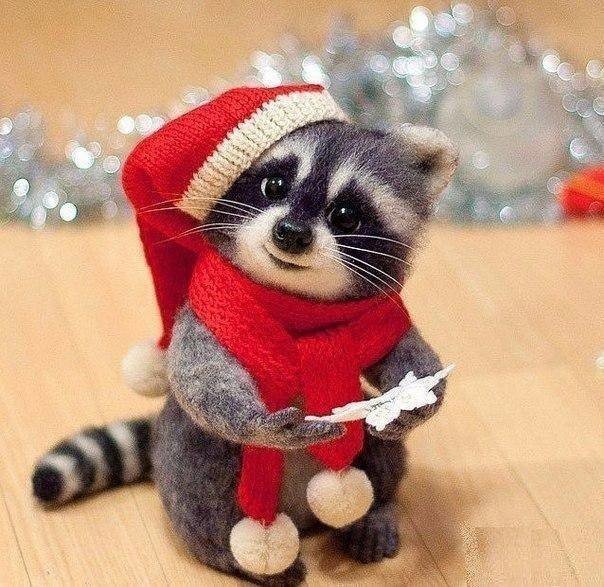 енотик - оригинал