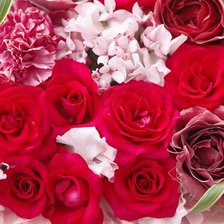 Схема вышивки «розы»