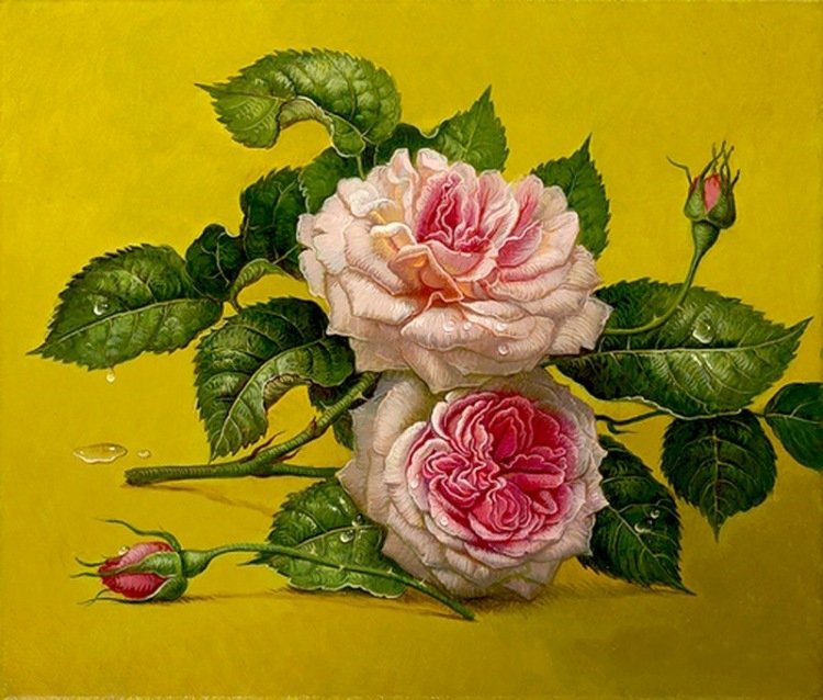 розы - красота, цветы, розы, роза - оригинал