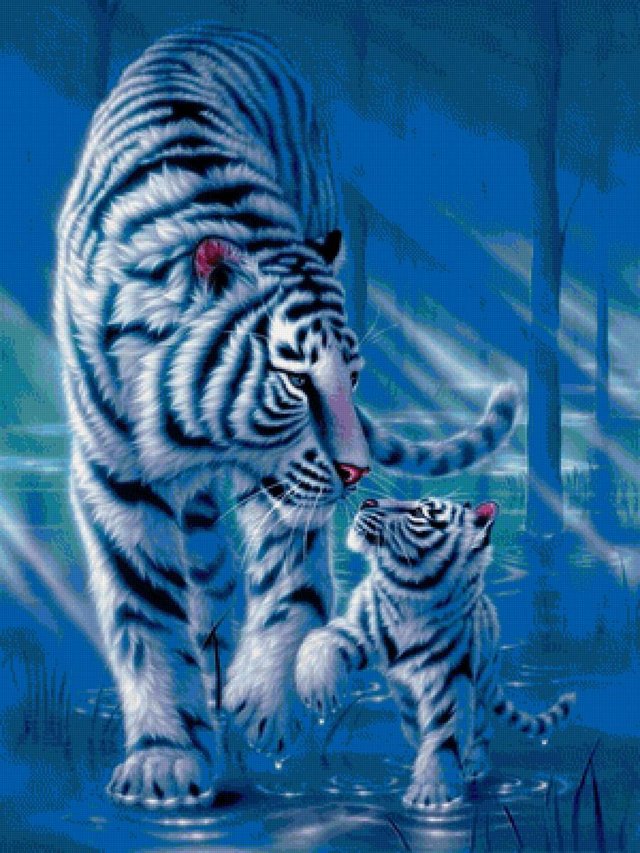 тигры - животные, тигры - предпросмотр