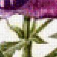 Предпросмотр схемы вышивки «цветы» (№1390960)