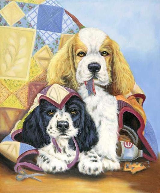 Кокерята - щенки, собаки - оригинал