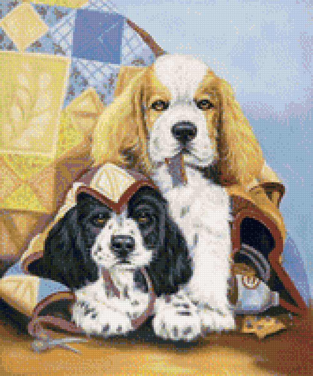 Кокерята - щенки, собаки - предпросмотр