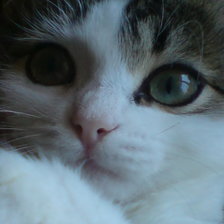 Схема вышивки «№1391241»