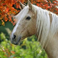 Схема вышивки «№1391406»