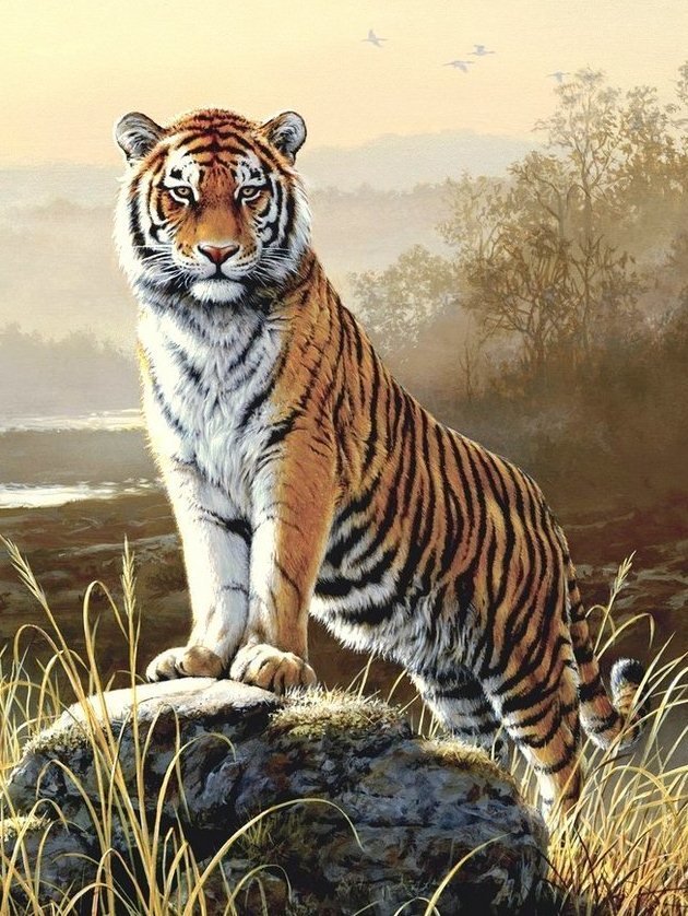 тигр на камне - животные, тигр - оригинал