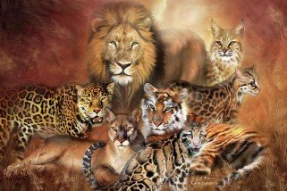 animales salvajes.... - оригинал